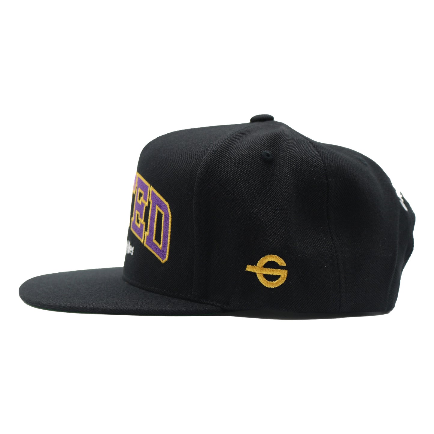 Gifted Los Angeles Snapback